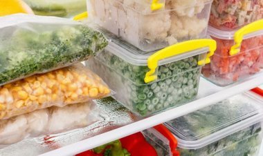 Frozen Food Products Sales and Marketing Agency in Mumbai