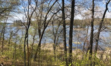 Amenities at the Birchwood Project