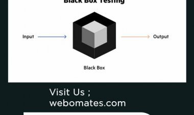 Black Box Testing