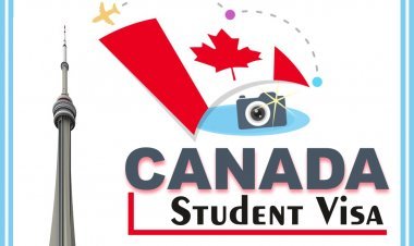 Canada Immigration Consultants in Mohali - StepUp Education