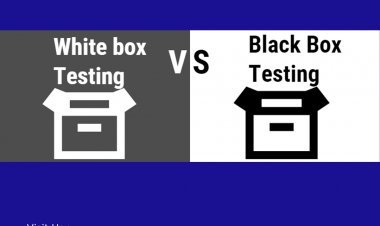 Black box vs white box testing