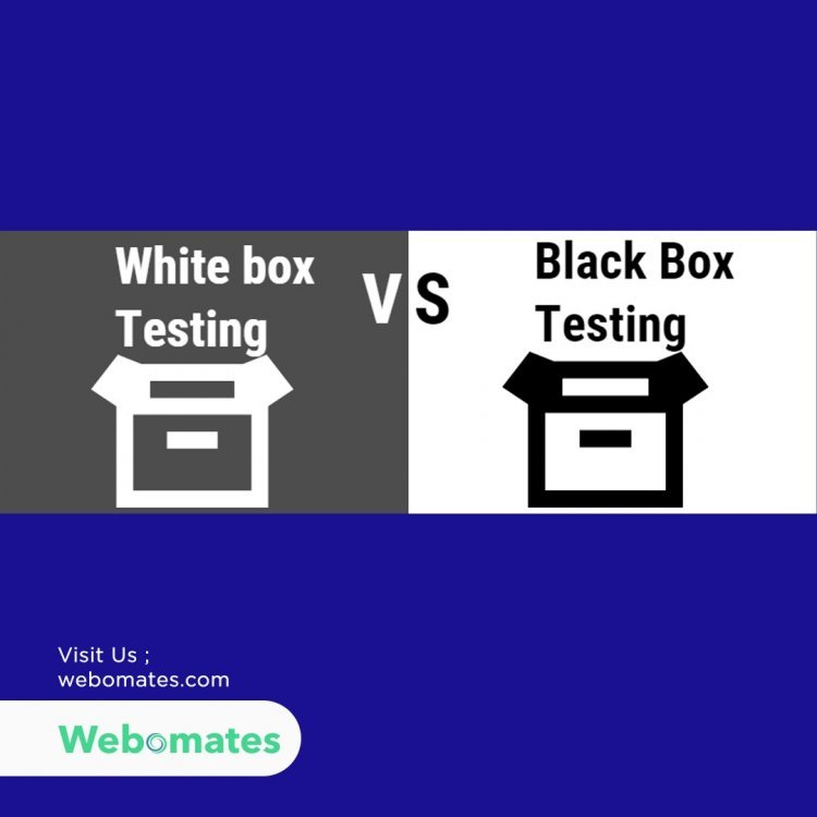 Black box vs white box testing