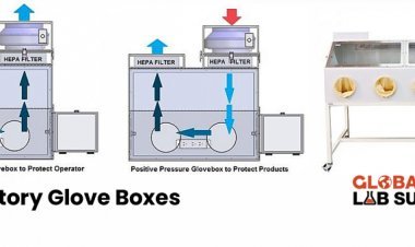 How to use Laboratory Glove Box?