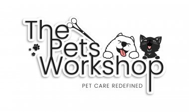 How do I choose the right pet grooming services in Singapore?