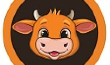 A next evolution Defi exchange