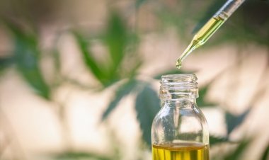 Best CBD Oil Nordic Oil