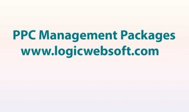 PPC Management Packages from the Best PPC Management Company