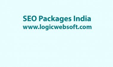 SEO Packages India from the Best SEO Company India