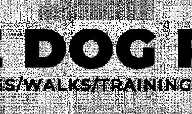 Dog Walkers and Dog Adventures, Tauranga | The Dog Ranch