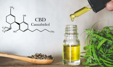 CBD Oil For Foot Pain