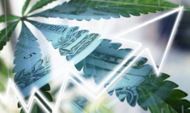 Namaste Technologies Inc