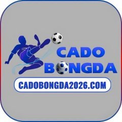 cadobongda2026com