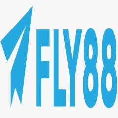 fly88ceotruongbachi