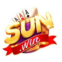 sunvision1