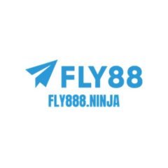 fly888ninja