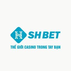 shbethicom1
