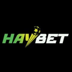 haybet1org