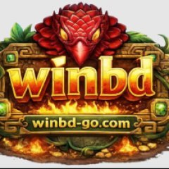 winbdgocom