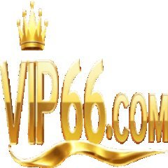 vip66training