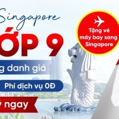 duhocsingaporenogt
