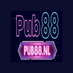 pub88nl
