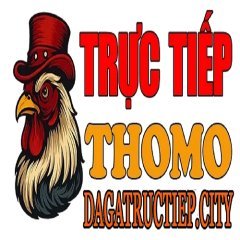 dagatructiepaboutpa