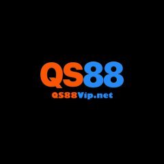 qs88vipnet