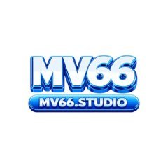 mv66studio