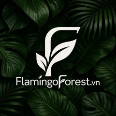 flamingoforest