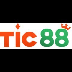tic88art