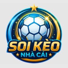 Soi Kèo Nhà Cái - Tỷ Lệ Kèo Nhà Cái Bóng Đá Trực Tuyến Uy Tín