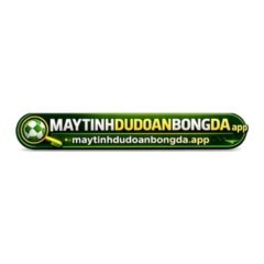 Máy tính dự đoán                  bóng đá