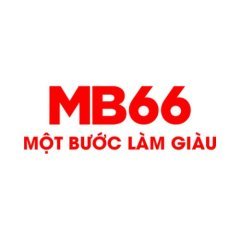 MB66 Feedback
