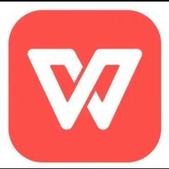 company wps