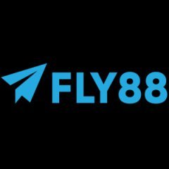fly88webcam1