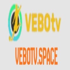 vebotvspace