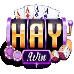 Haywinnis