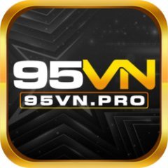 95vnpro