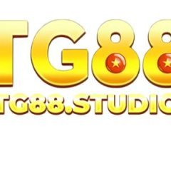 tg88studio