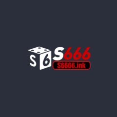s6666ink