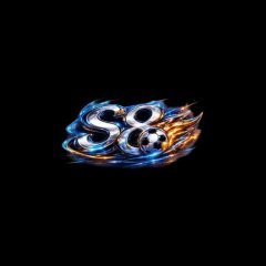 S8gsinnet