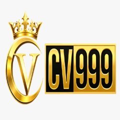 playcv9991