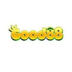 good88reisen1