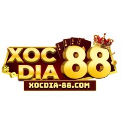 XOCDIA881