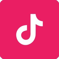 ssstiktok_tv