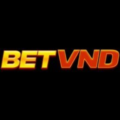 betvndcom