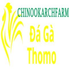 dagachinoo