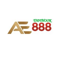 ae888tidyhook