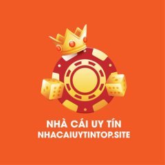 nhacaiuytinsnubthehub