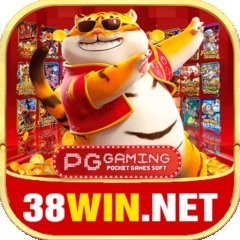 38winnetbr